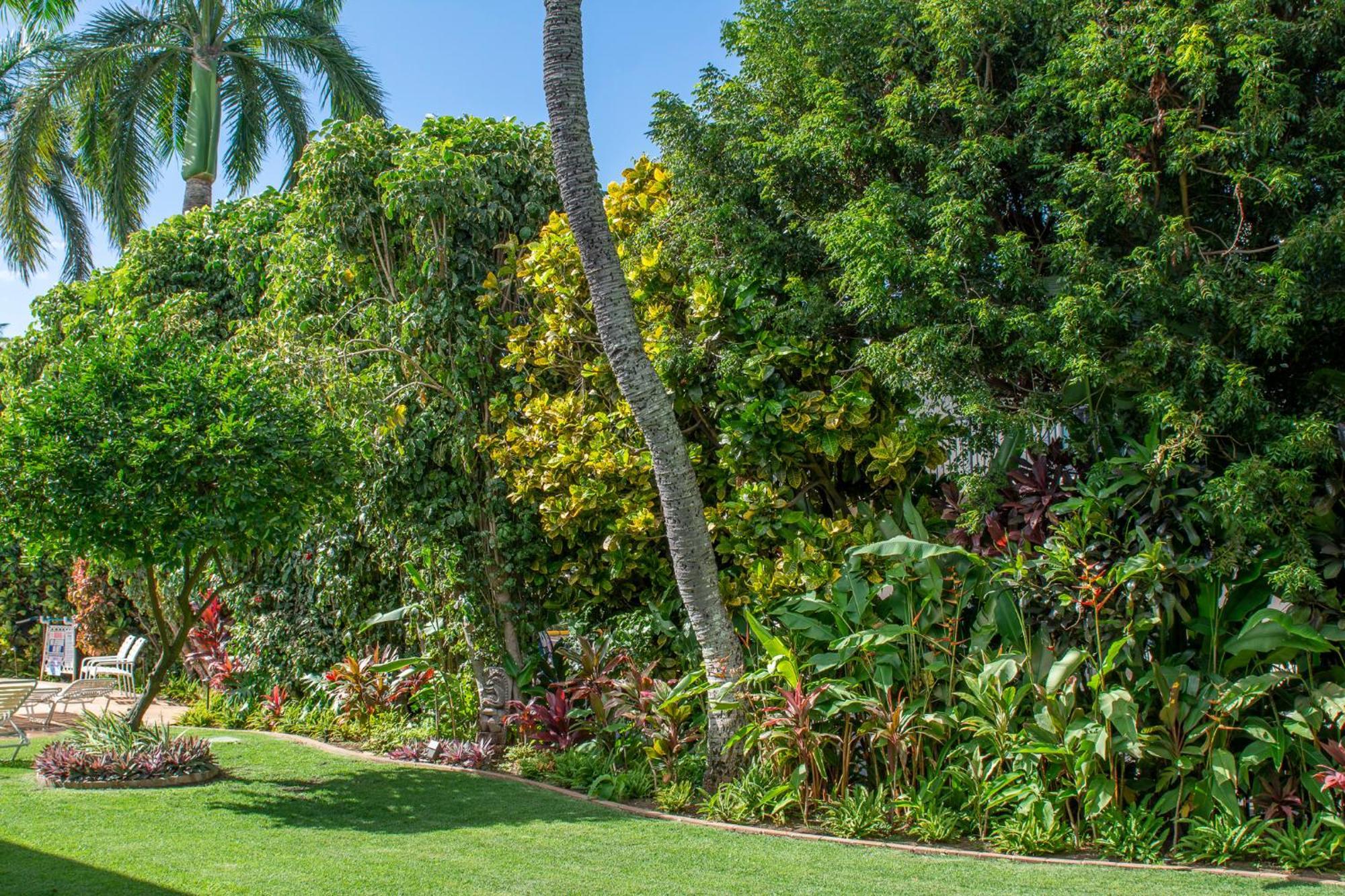 Napili Surf Beach Resort By Castle Kapalua Esterno foto